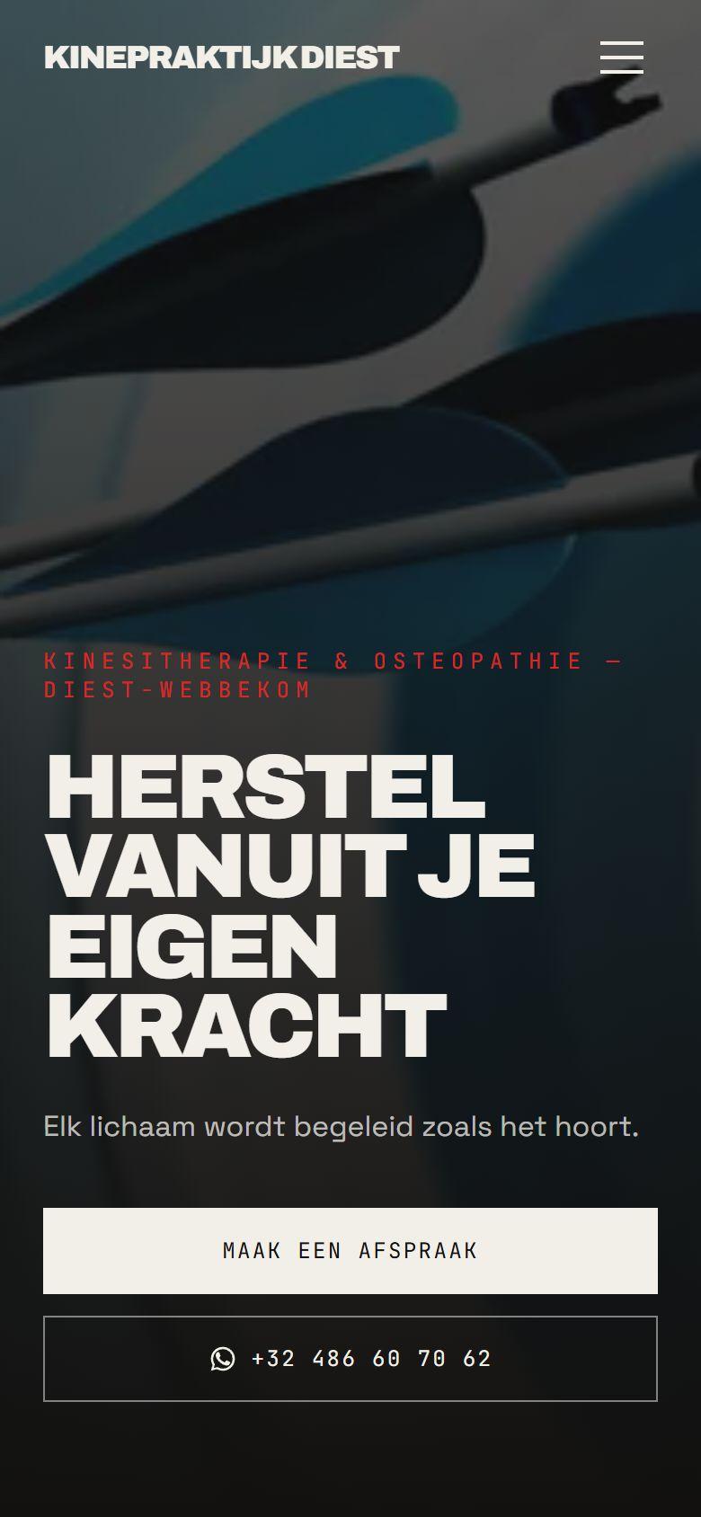 Website van Kinepraktijk Diest op gsm